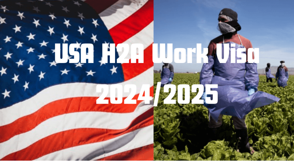 USA H2A Work Visa 2024/2025 Requirements, Application Process, and