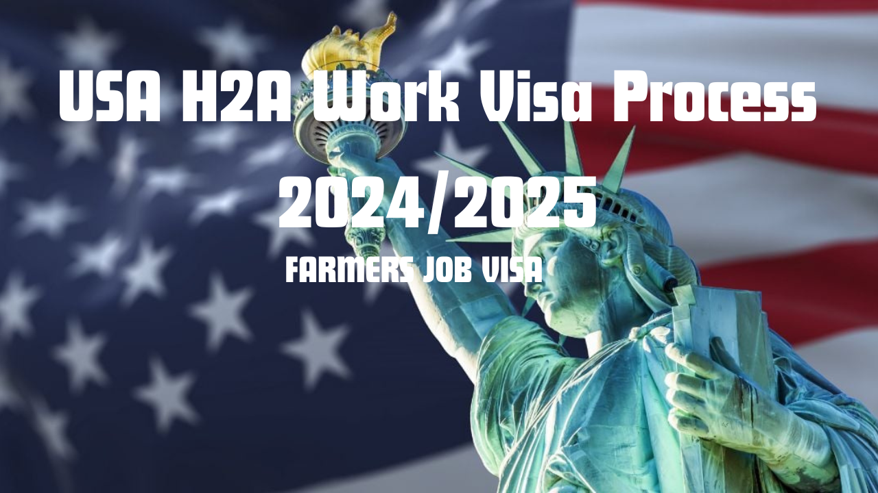 USA H2A Work Visa Process 2024/2025 Everything You Need to Know